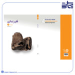 مجموعه راز ثروت